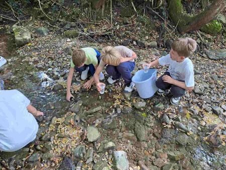 Šola Jelšane, dediščina (7)